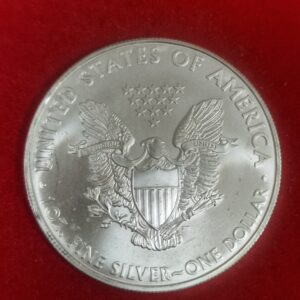 American Silver Eagle 1 Oz × 20 stk